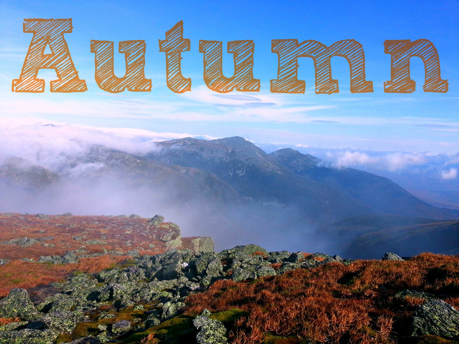 autumn