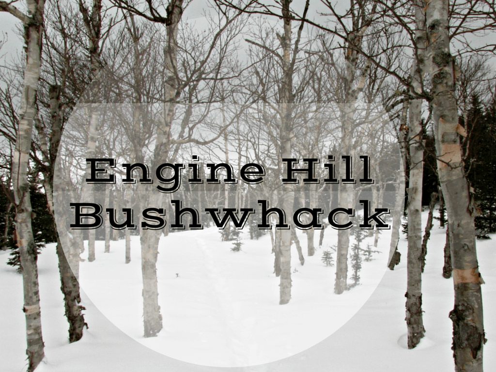 engine hill bushwhack