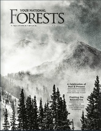 your national forests