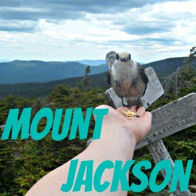 jackson