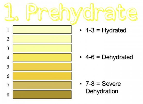 hydration chart