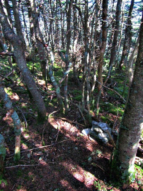 15a-breadloaf summit
