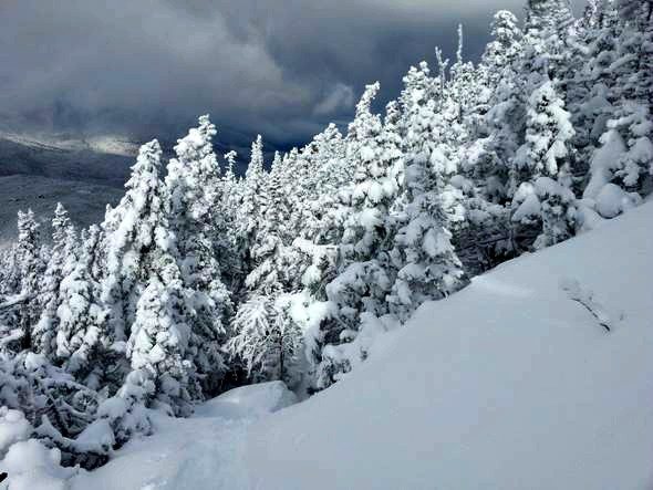 wildcat ridge trail