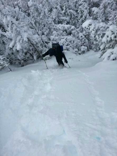 wildcat ridge trail