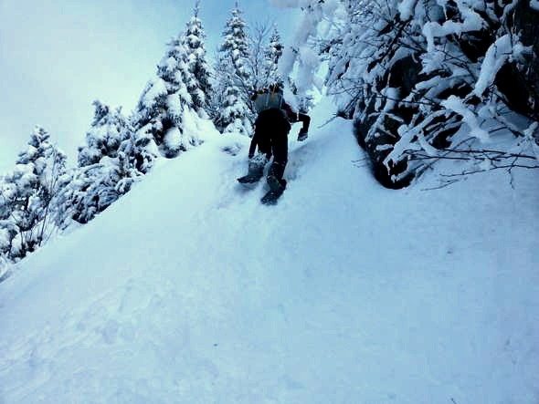 wildcat ridge trail