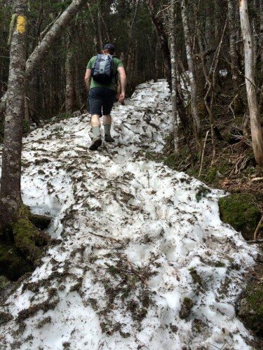 mt tecumseh trail