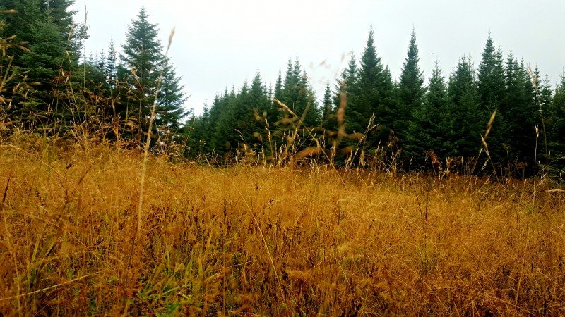 20150908_074315