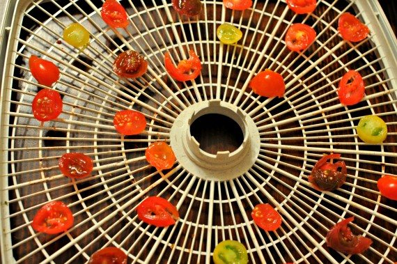 dehydrate tomatoes