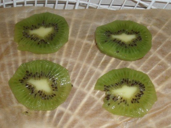 dehydrate kiwi