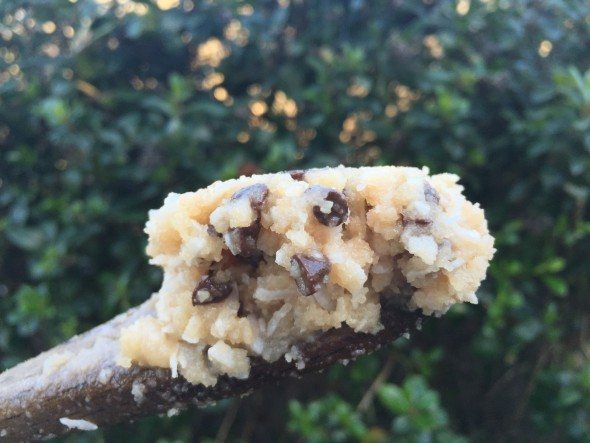 girl scout goo