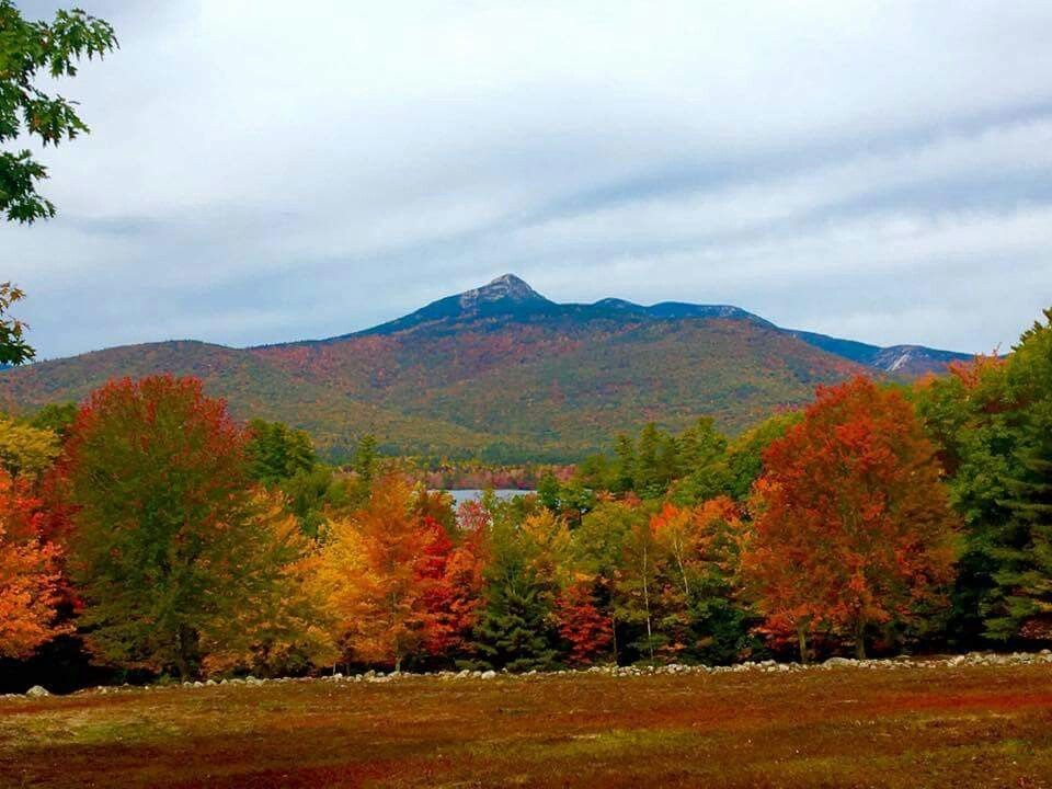 Mt. Chocorua