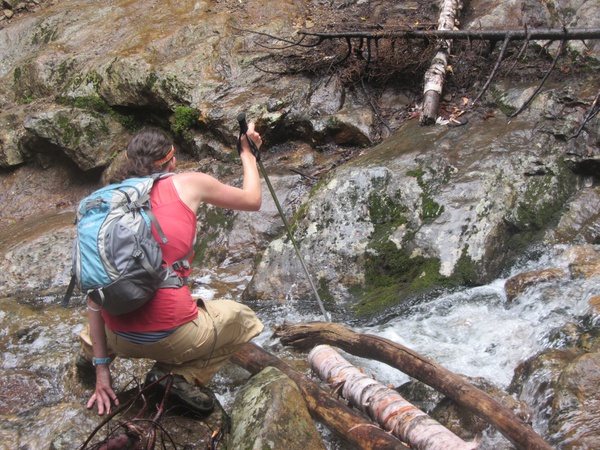 low_pants