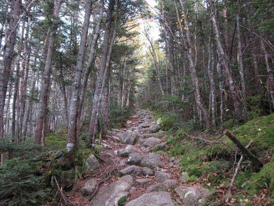 mt garfield trail