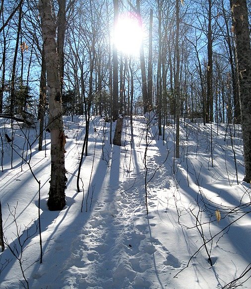 black pond bushwhack