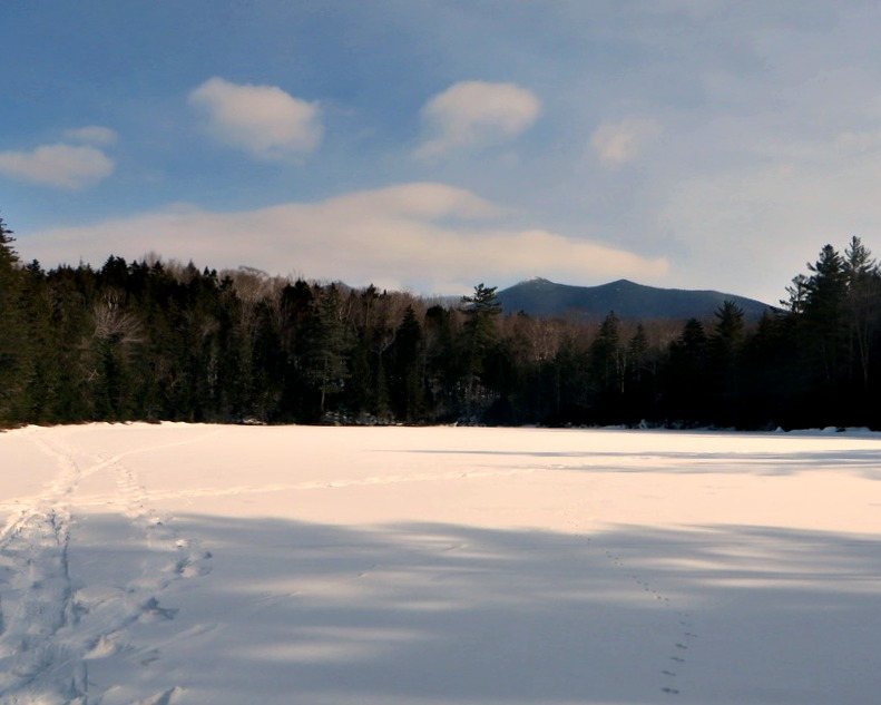 black pond bushwhack