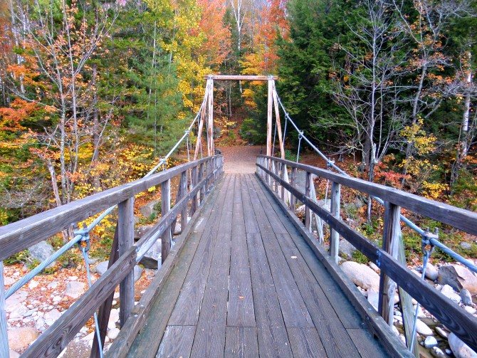 owls head