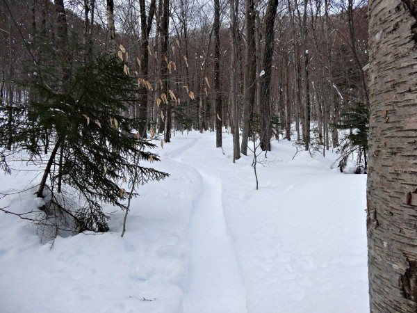 Snowshoe trail