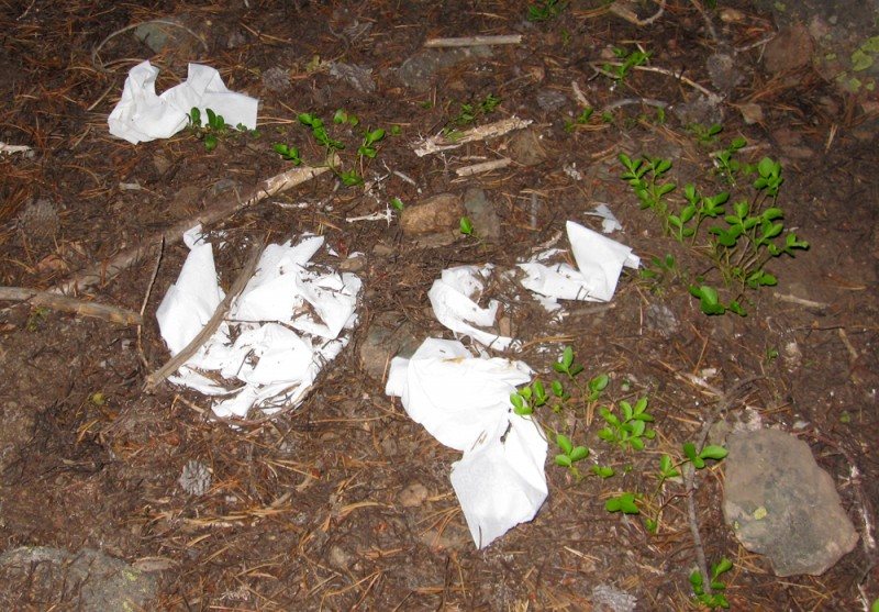 tp-on-trail