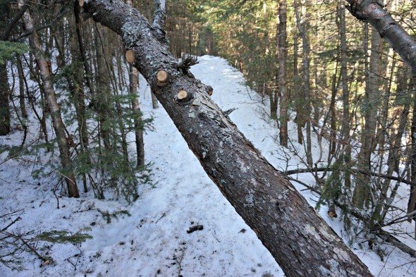 blowdown