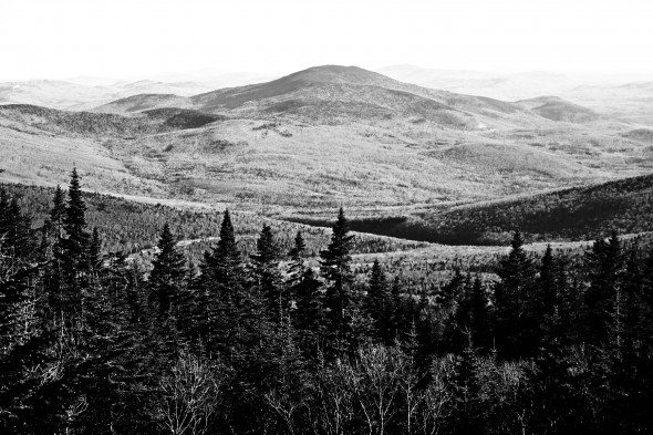 moosilauke view