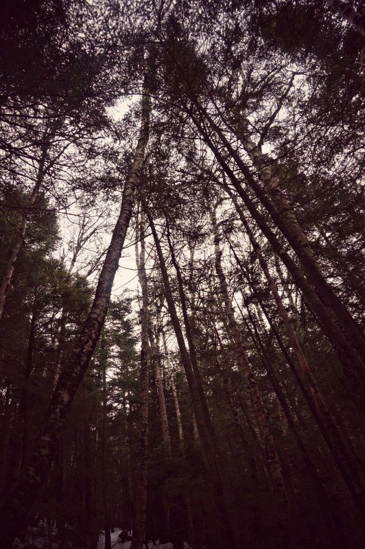 13-falling waters trail