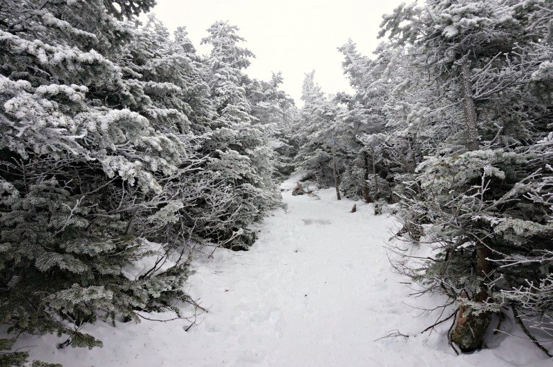 18-falling waters trail