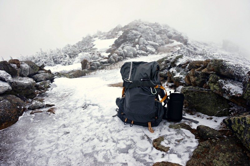 21- GG Gorilla