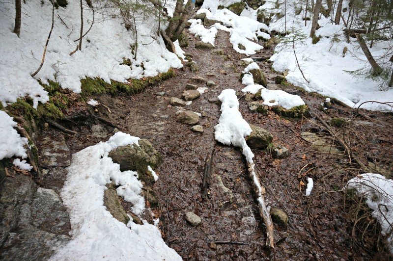 8-falling waters trail