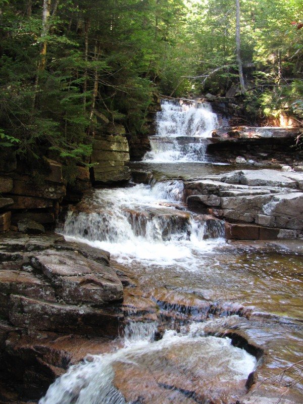 IMG_1307