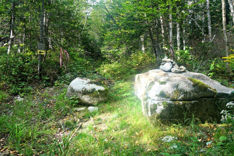 6-rock