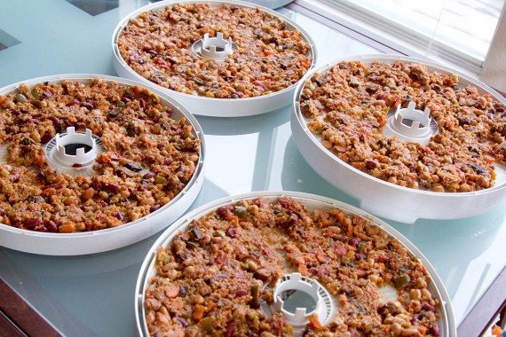 dehydrated chili recipe