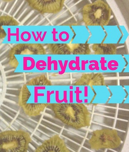dehydrate fruit