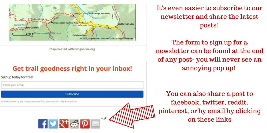newsletter and posts