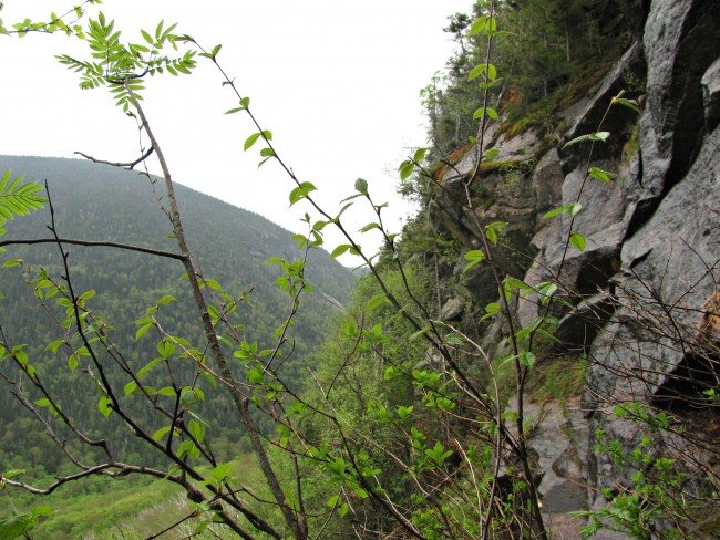 east osceola