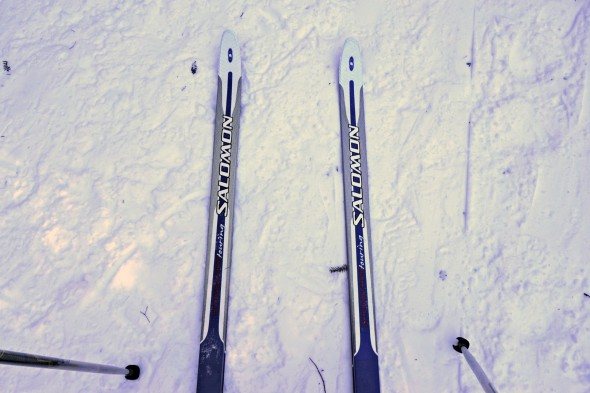 cross country ski