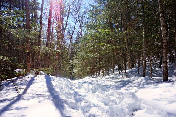 bondcliff trail